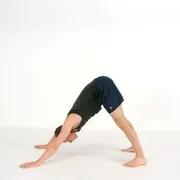 Downward dog